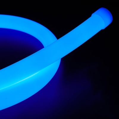 D22mm LED Neon Flex Light
